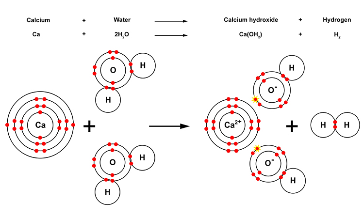 Diagram showing what happens to calcium molecules when introduced to water